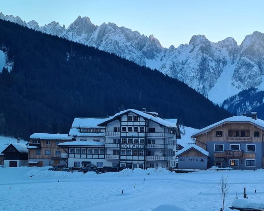 Panorama Edelweiss Gosau